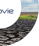 abbvie